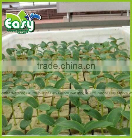 20cm Starter Plugs Cubes - rockwool hydroponic grow media. Propagation Cloning Rockwool Cubes