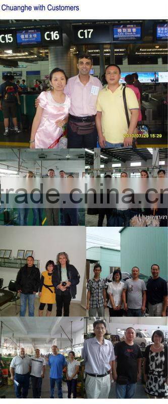 Hot sales high quality double thread zinc plate hanger bolt