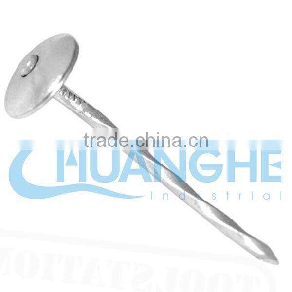 stainless steel roofing nails