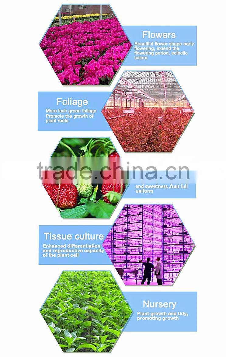 Hot wholesale sunflower type 600W high eneegy indoor grow light