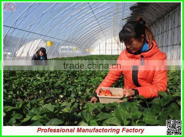 best selling arched type multi-span greenhouses for garden