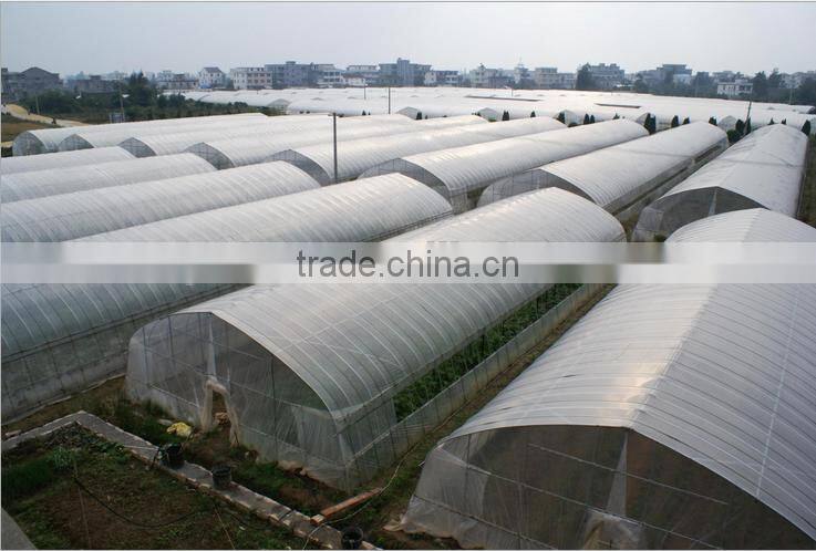 Commercia Agriculturel Low Cost Greenhouse for sale