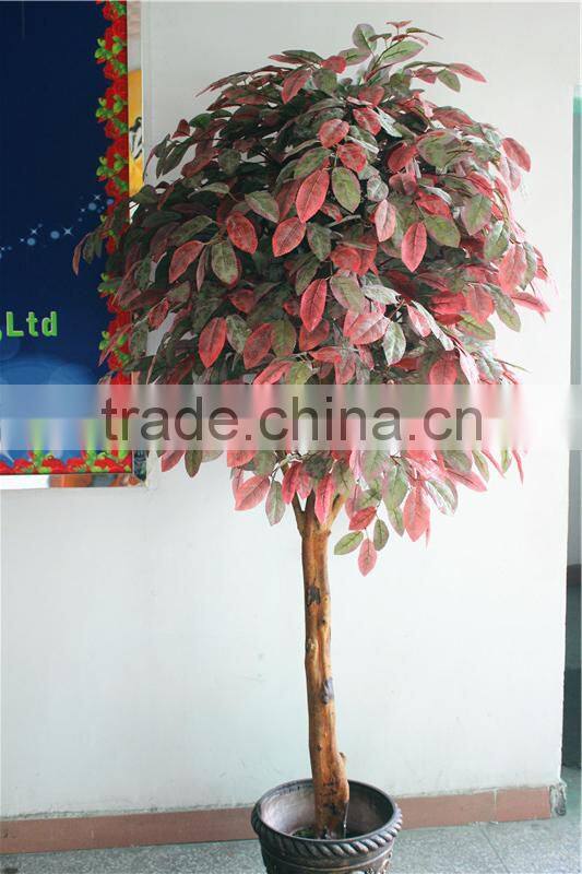 Home garden decoration 100cm to 1000cm Height artificial indoor live plastic ficus red with green palm tree EZLS05 1006