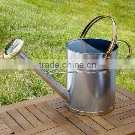 Blue color indoor watering can