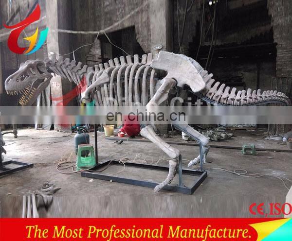 full size high realistic museum quality dinosaur skeleton