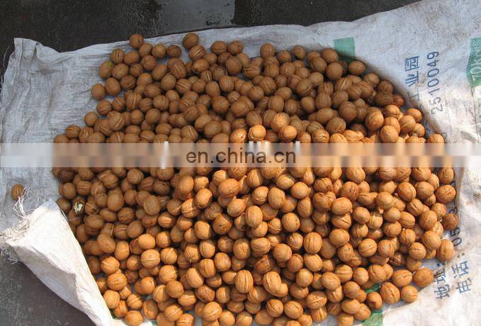 Green walnut cleaning machine/walnut skin peeling and cleaning machine