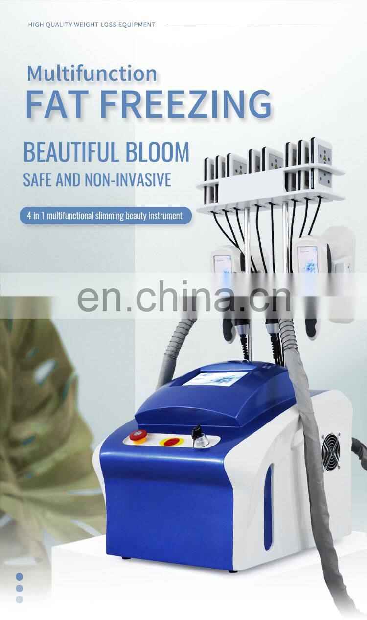 Factory selling 2020 renlang weight loss fat freezing machine cool cryo 40k rf lipolaser