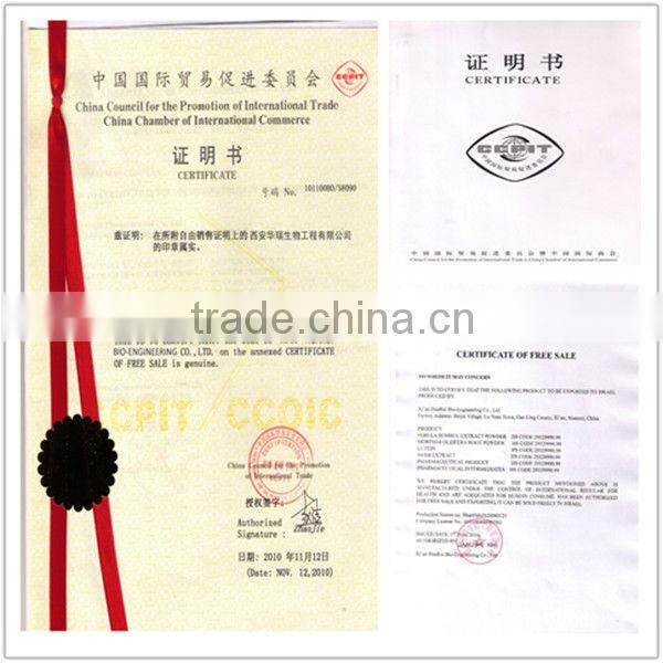 Marigold Extract/Lutein Powder 2%