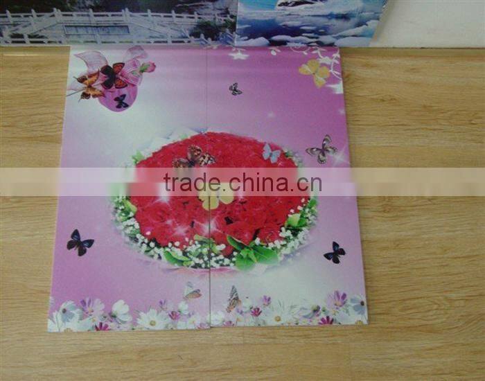 Printer For Ceramic Tile With The Scan Of The Infrared Ray