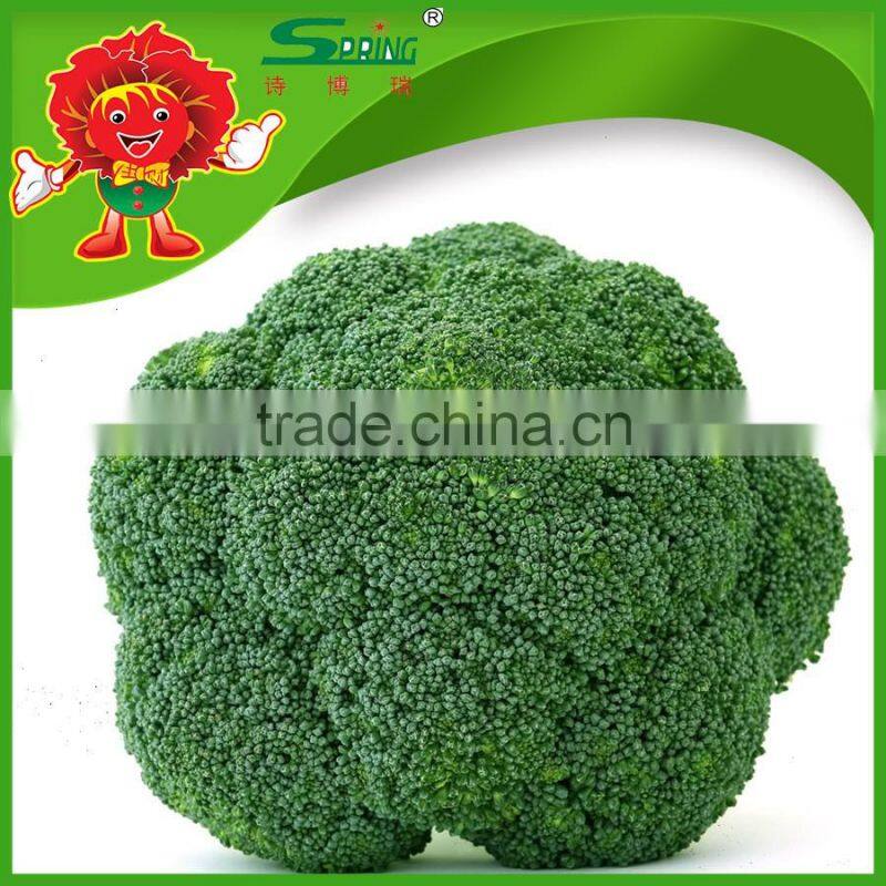Fresh Broccoli_ Good Quality frozen broccoli spears