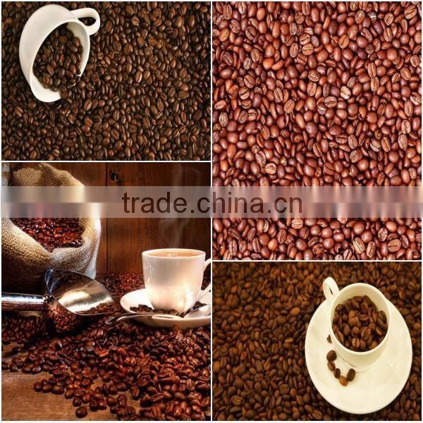high work efficiency professional coffee roaster machine
