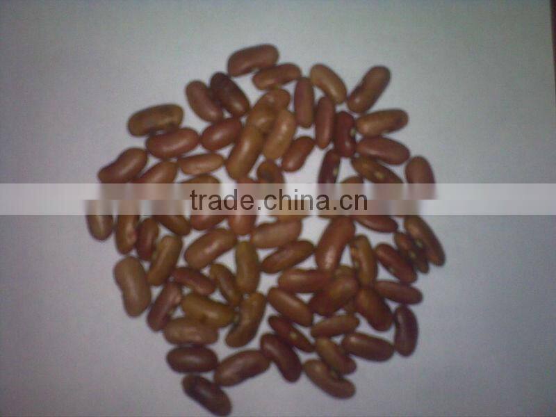 dried red kidney beans