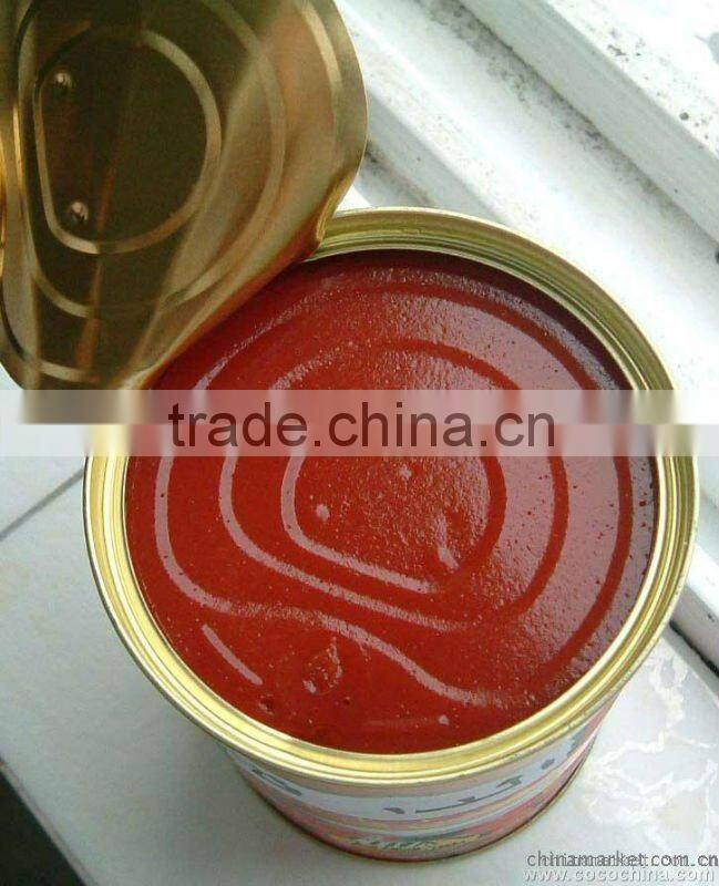 Pasta de tomate en lata/canned tomato paste