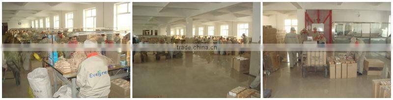 Disposable cutlery plastic fork