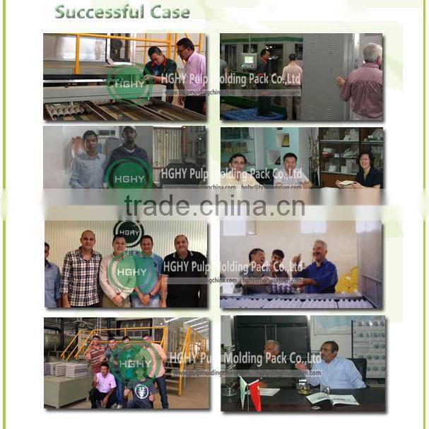 disposable baggase paper plate pulp molding machine by HGHY