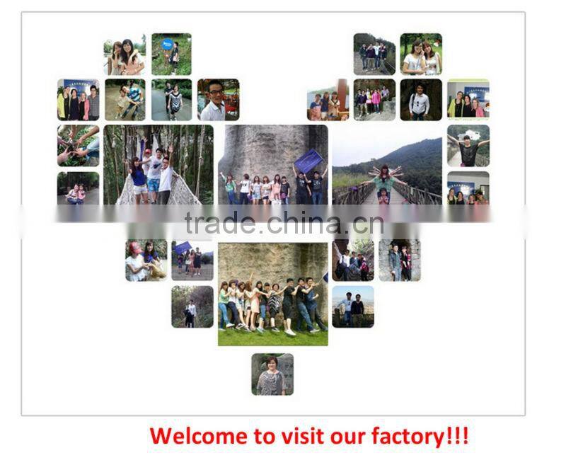 Yingjieli New Design Outdoor Down Jacket Men Duck Down Jacket For Winters 2016