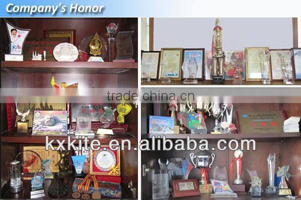 New scaring bird pigeon control from the kite factory