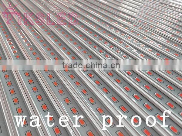 Korea led plant grow light strip lighting Red:Blue 3:1 4:1 5:1 6:1 7:1 8:1 9:1 LED Grow