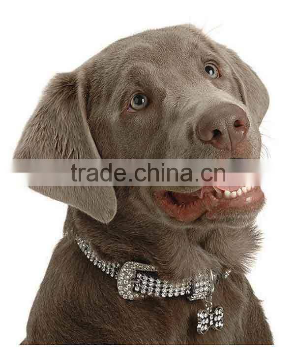 Diamond sparkly 4 row rhinestone studded dog collar