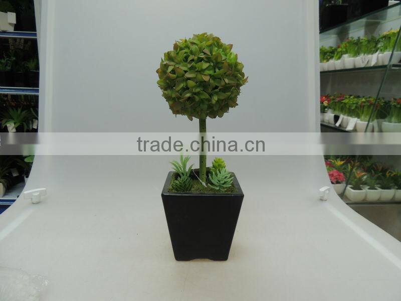 square ceramic pot plant for decorating