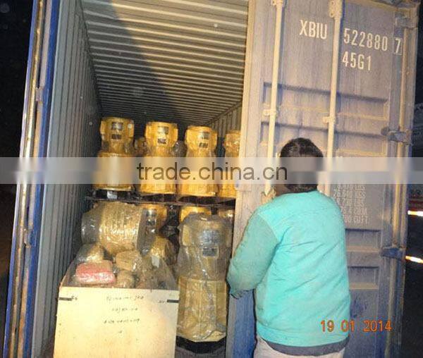 flat die feed pellet machine production line