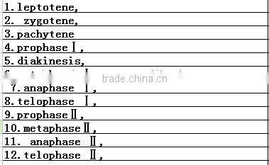 Primary school teaching onion meiosis prepared slides set from factory