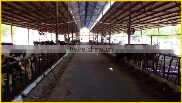 Cow Head - lock for Dairy Farm