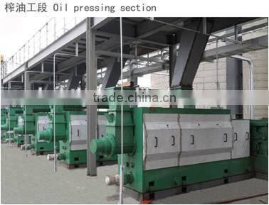 black seed oil mill