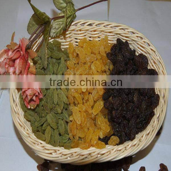 Golden sun raisins, hand selected quality