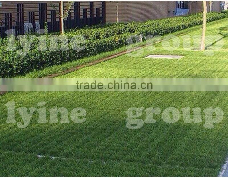 lyine High load cast concrete floor grass arts die and Grass parking