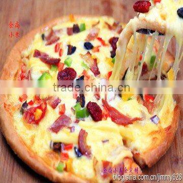 Edible mushrooms/Pleurotus ostreatus/Shitake mushrooms/Mushroom