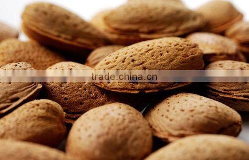 Hot sale 1000kg/h automatic almond nuts shelling machine breaking machine