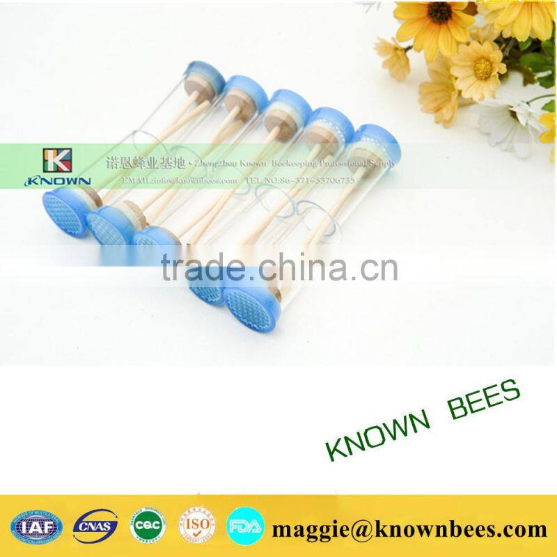 beekeeping tool marker to label queen with sponge