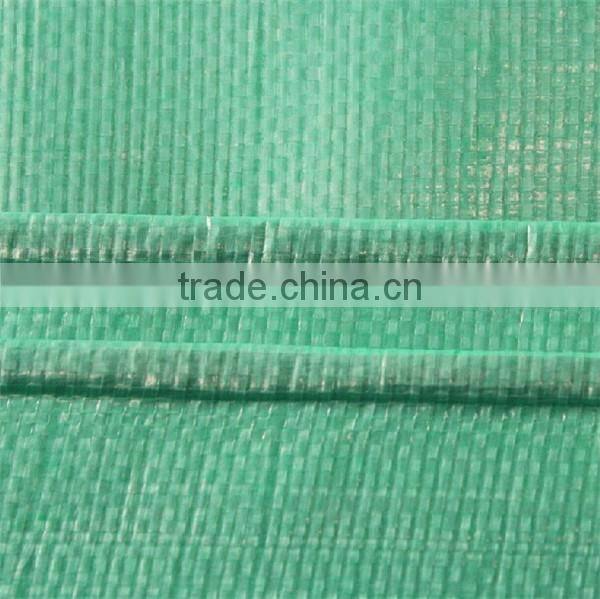 100% virgin korea pe flexible plastic transparent mesh tarpaulin with low price