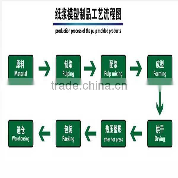 Paper color Apple carton Trays fatcory