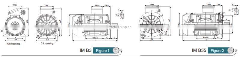 IE3 Standard High Efficiency Cast Iron Three Phase Electric Motor T3C 160L 2