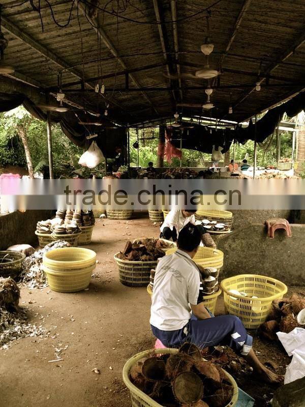 CE approved stainless steel fresh coconut oil press machine