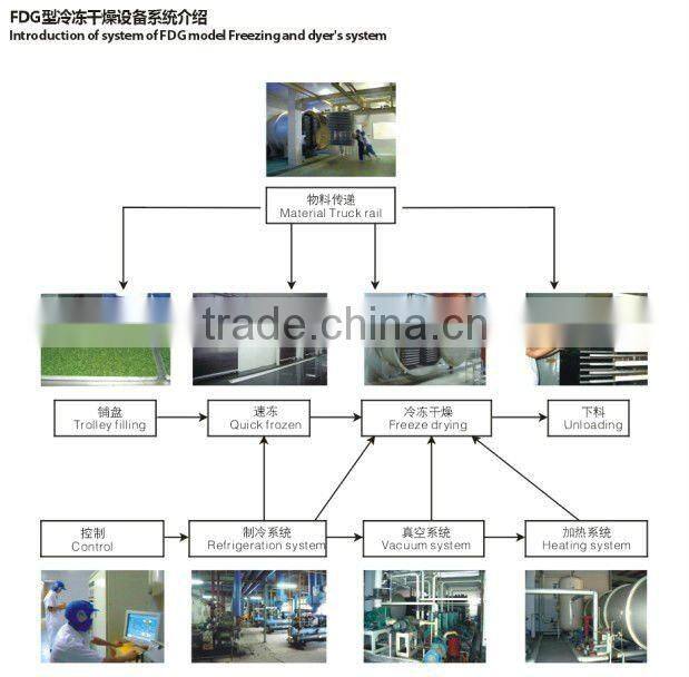 Vacuum Freezer China Custmize
