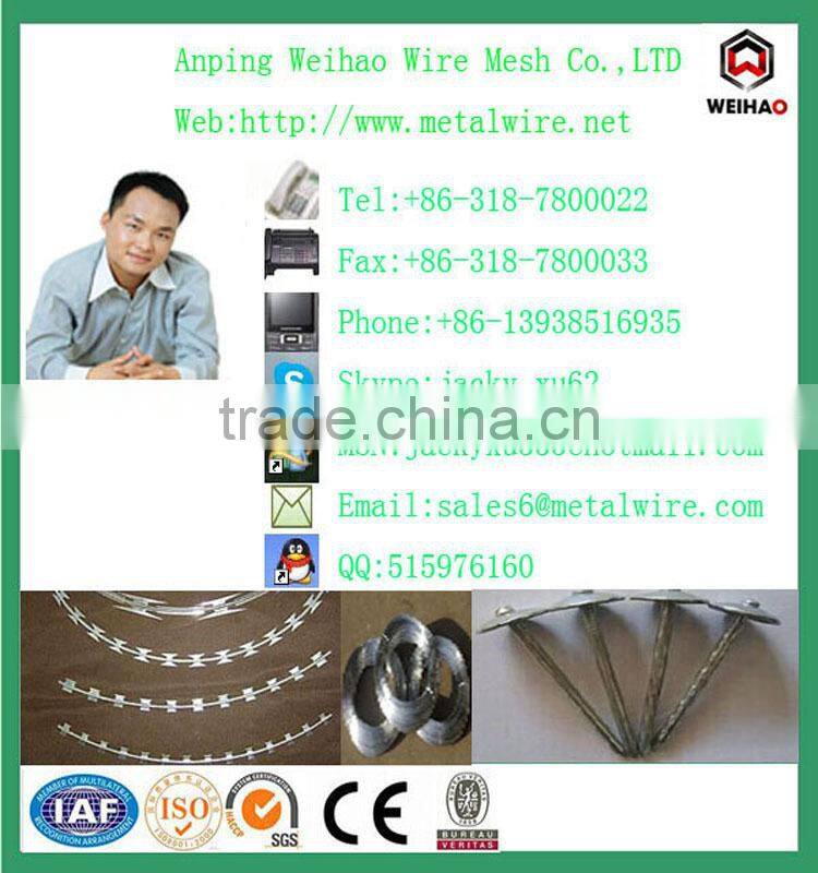 anping weihao 12.7 / 19 / 25.4 mm common iron wire nail