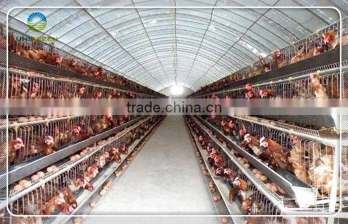 Easy assembled comericial poultry breeding greenhouse