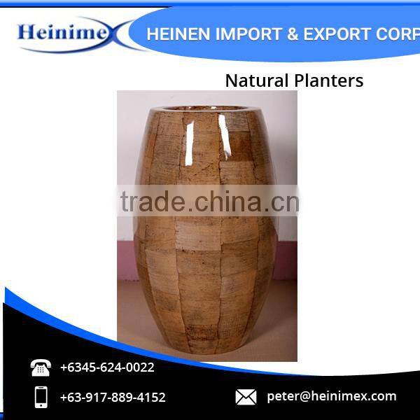 High Quality Fiberglass and Dried Banana Leaves Made Planters for Wholesale