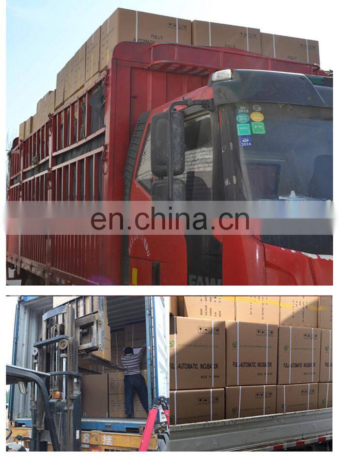 Automatic Chicken Egg Incubator For Sale