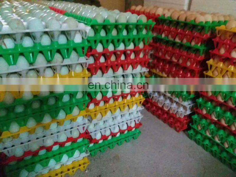 30 holes plastic egg tray for packing and transportation 30*30*5 cm plastic egg tray
