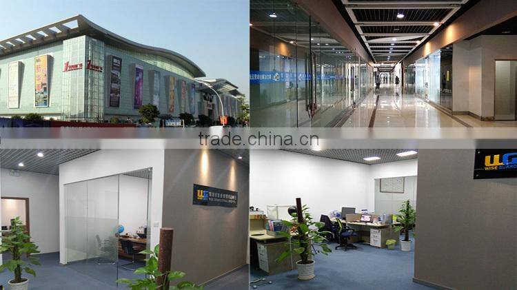 2G Android iOS WiFi Smart watch with camera