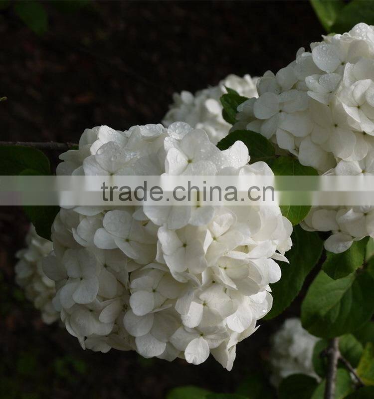 Newest OEM top sell white hydrangea bouquet