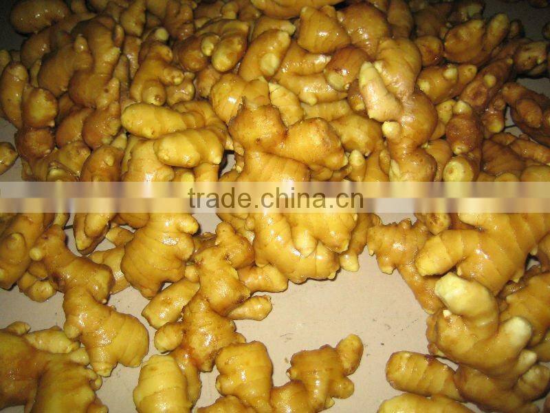 Chinese fresh best quality ginger