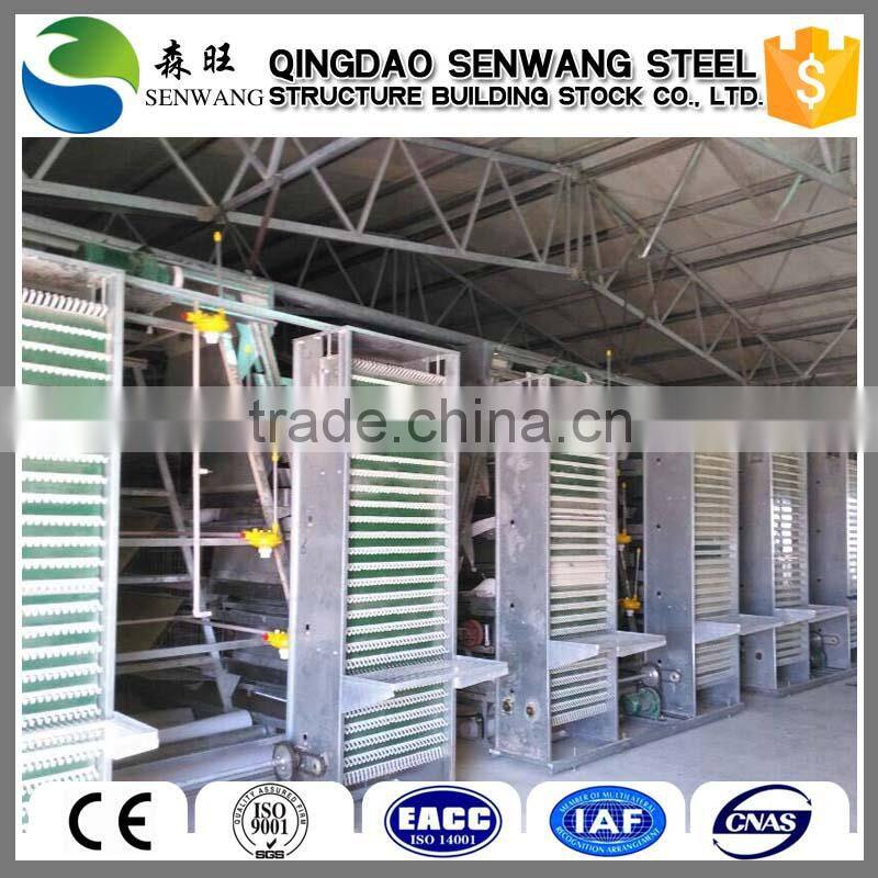 low cost automaticly light steel structure poultry layer broiler shed design
