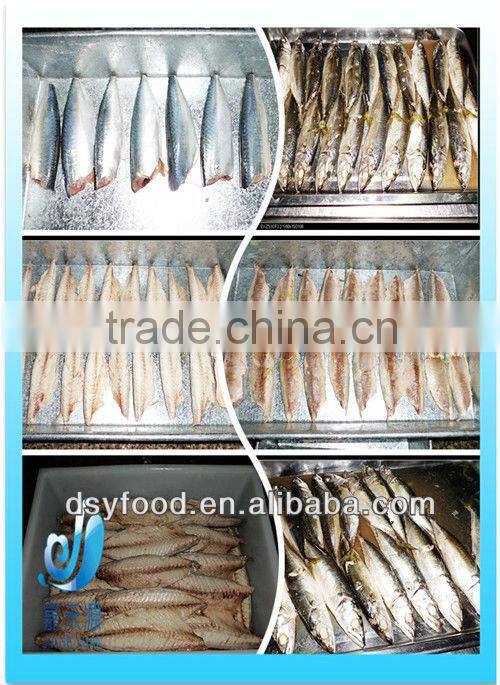 cooked macherel fish