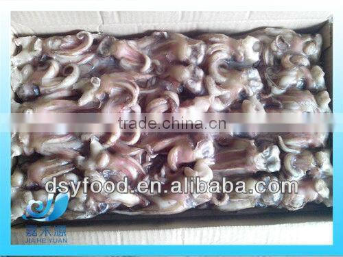 frozen processed fuzhou squid tentacles