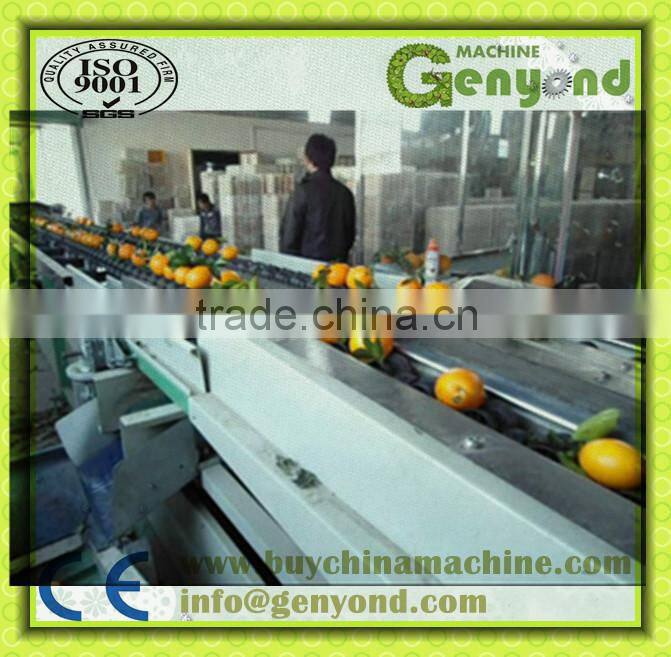 stainless steel small fruit weight sizing machine